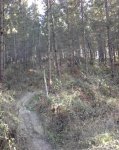 Foto0293.jpg