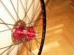 DSC07176.JPG