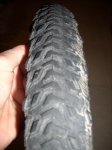 Maxxlite - 3.JPG