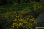 DSC_1844.jpg