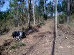 Imagen0125.jpg