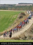 cyl09st01-field[1].jpg