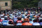msr09-mele[1].jpg