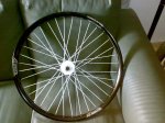 250320091028.jpg