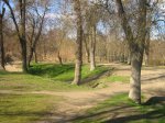 Imagen 016.jpg
