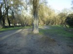 PIC_0007.jpg