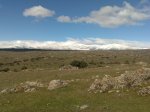 07022009007_redimensionar.jpg