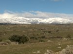 07022009008_redimensionar.jpg