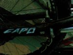 Capo RST.jpg