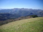 IMGP0297.jpg
