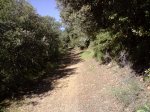 P200309_10.23[01].jpg