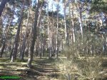 Foto11.JPG
