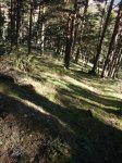 Foto12.JPG