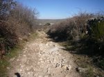 Foto14.JPG