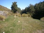 Foto19.JPG