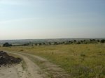 mini-DSC00820.JPG
