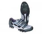 cdalecarveshoes01.jpg