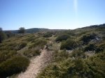 Foto28.JPG