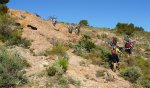 P1150319+ (Large).jpg