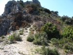 IMG_1601.jpg