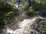 IMG_1606.jpg