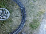 DSC00433.jpg
