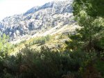 IMG_1609.jpg