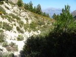 IMG_1610.jpg