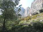 IMG_1616.jpg