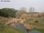 Hortunas Febrer_08_594_RMB.jpg
