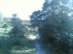 por Segurilla 012.jpg