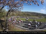 ceb09st02-view[1].jpg