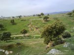 DSC01297.jpg