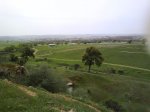 DSC01298.jpg