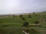 DSC01299.jpg