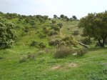 DSC01301.jpg