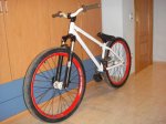 DSC00225.jpg