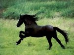 ontherun[1].jpg