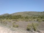 DSC00391.jpg