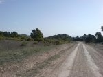 DSC00392.jpg