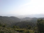 DSC00393.jpg