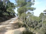 DSC00395.jpg