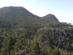 DSC00397.jpg