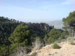 DSC00398.jpg