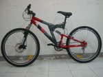 BUSTER-02.jpg