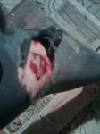 Imagen006.jpg