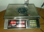 27032009057.jpg
