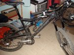 DSC03438.jpg