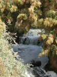 ruta 28-03-09 002.jpg
