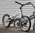 large_220kamel4[1].jpg
